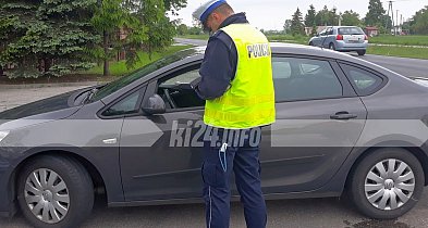 Myślał, że zgubi policjanta w kukurydzy. Miał 2,8 promila!-53376