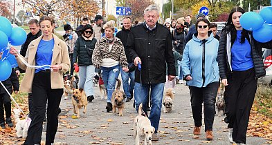 Radość, energia i merdające ogony-53484