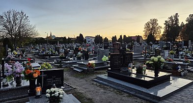 rolKI24.INFO | Ile inowrocławianie wydają na Wszystkich Świętych?-53639