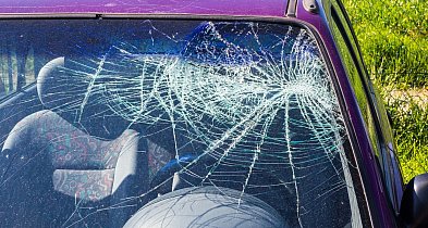 Opel potrącił mężczyznę. Policja szuka świadków wypadku-53648