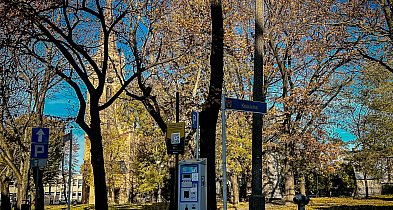 Nowe płatności za parkowanie. Wystarczy telefon-53918