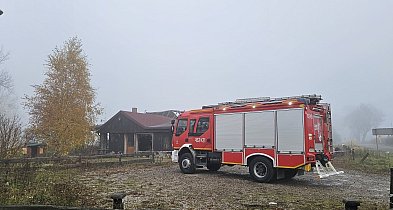 Pożar w „Starym Tartaku” za Złotnikami Kujawskimi. Restauracja spłonęła-53978