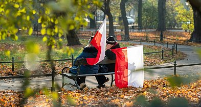 Zerwał flagę Polski. 57-latek usłyszał zarzuty-54095