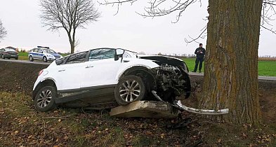 We wsi Sucharzewo uderzyła fordem w drzewo-54176