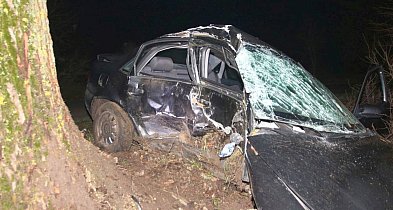 Audi uderzyło w drzewo pod Kruszwicą. Nie żyje 20-latek-54921