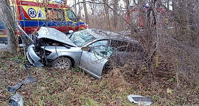 Audi skończyło na drzewie. Jedna osoba poszkodowana-55308