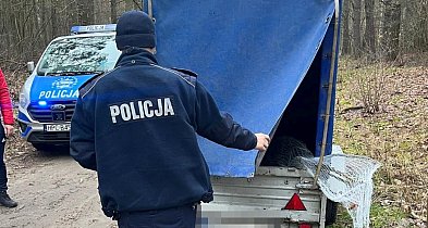 Patrolują lasy, zaglądają do bagażników i na przyczepy-55336