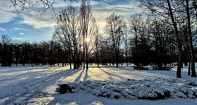 rolKI24.INFO | Nareszcie trochę posypało-55621