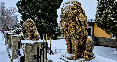 rolKI24.INFO | Znowu posypało ❄️☃️