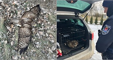 Nie poleciał, ale pojechał policyjnym radiowozem