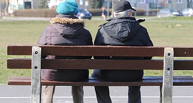 Nowe deski do miejskich ławek. Umowa na 38,7 tys. zł