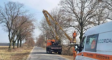 Cięcia drzew przy drogach. Prace objęły kilka miejscowości