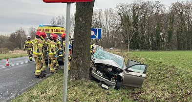 Fiat uderzył w drzewo. Kierująca trafiła do szpitala
