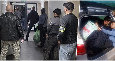 Nielegalni migranci w aucie. Zatrzymanie pod Inowrocławiem