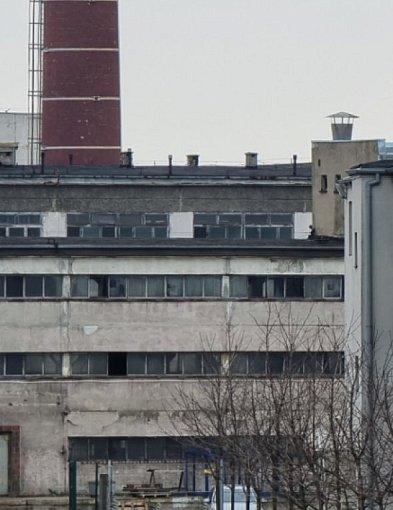 Radni PiS komentują sytuację w Inofamie-53801