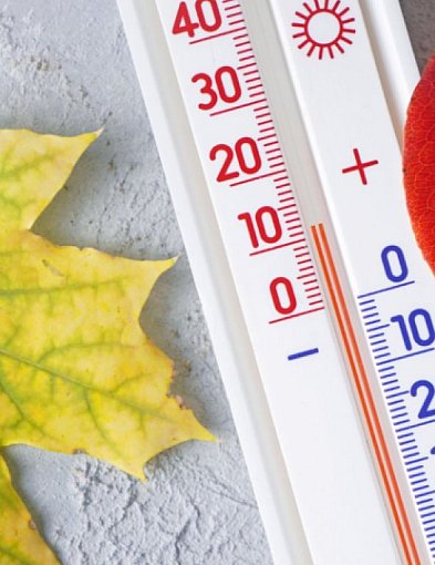 Deszczowy początek tygodnia w Inowrocławiu. Prognoza pogody dzień po dniu-54026