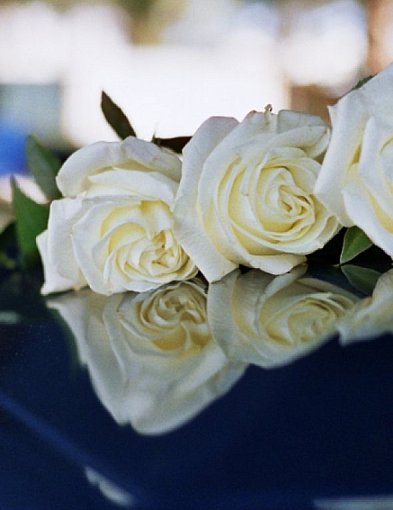 W mijającym tygodniu odeszli od nas...-55302