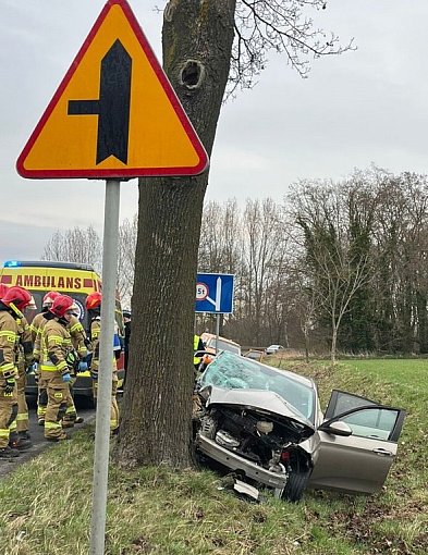 Fiat uderzył w drzewo. Kierująca trafiła do szpitala