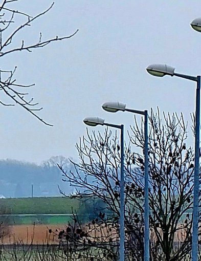 Nowe lampy na tej ulicy. Miasto ogłosiło przetarg