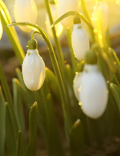 Klimatolog: nadchodzi wyż, a z nim słoneczna pogoda na święta