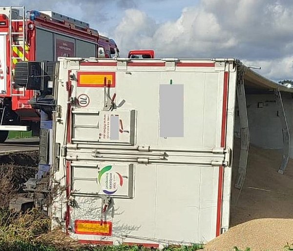 Zboże trafiło na pole, ale chyba nie o taki siew chodziło-53106