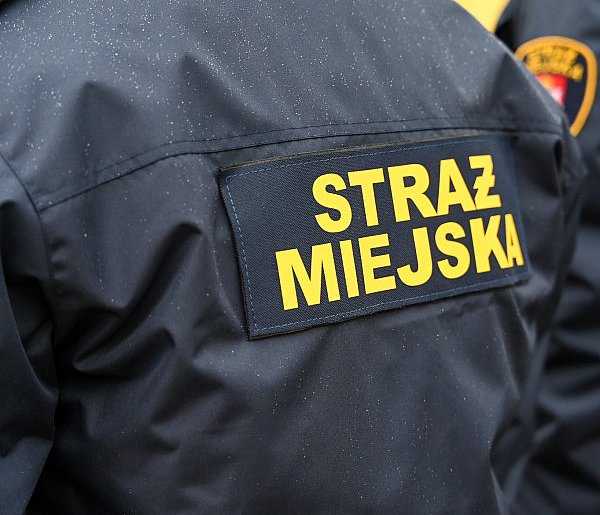 Zapuka strażnik, zapłacisz karę. Ruszyły kontrole w całej Polsce-53140