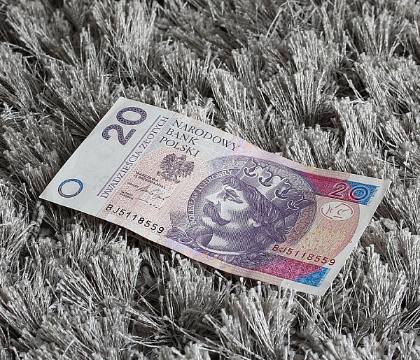 Nowy banknot o nominale 20 zł. Wchodzi do obiegu w tym tygodniu-53892