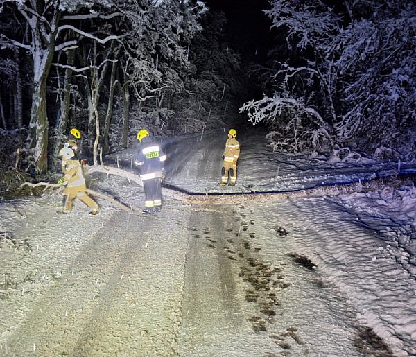 Strażacy mają pełne ręce roboty po nocnych opadach śniegu-54615