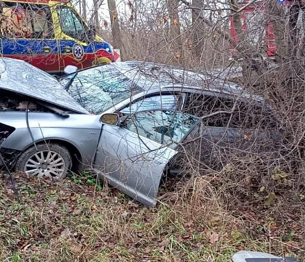 Audi skończyło na drzewie. Jedna osoba poszkodowana-55308