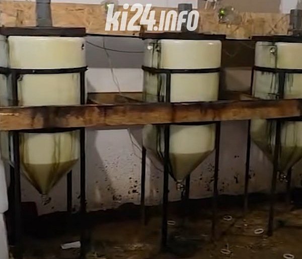 Mocne uderzenie CBŚP w narkobiznes. Duży wątek inowrocławski