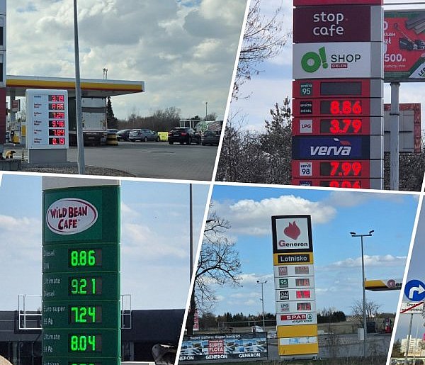 Sondaż dla „SE”: 80 proc. Polaków na tak dla cen urzędowych paliw