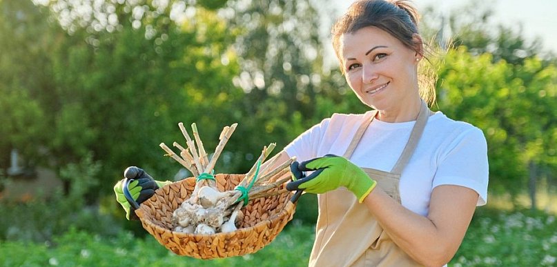 Lubisz pracę z roślinami? Zamień pasję w zawód dzięki Ramus