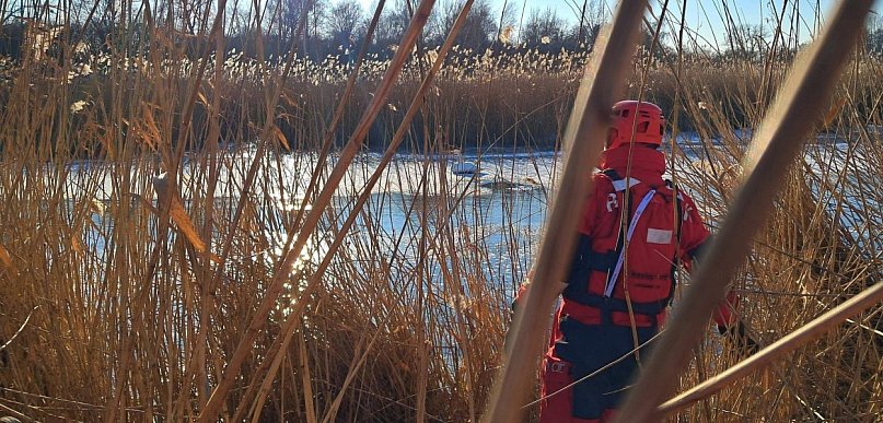 Dramat łąbędzi na zamarzniętym jeziorze. Interwencja WOPR w Szarleju