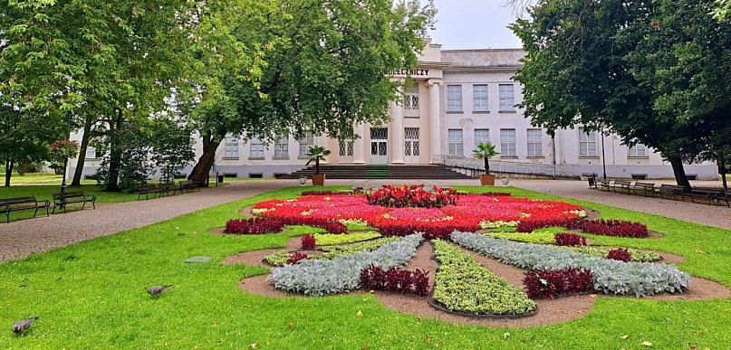 Wiosenne bratki znów ozdobią Inowrocław i Park Solankowy