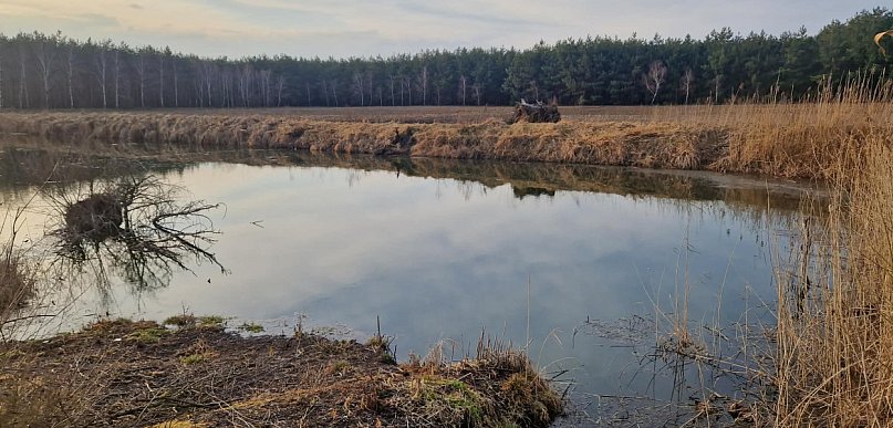 Otwarte zastawki na Kanale Bachorze. „To przyspiesza stepowienie Kujaw”