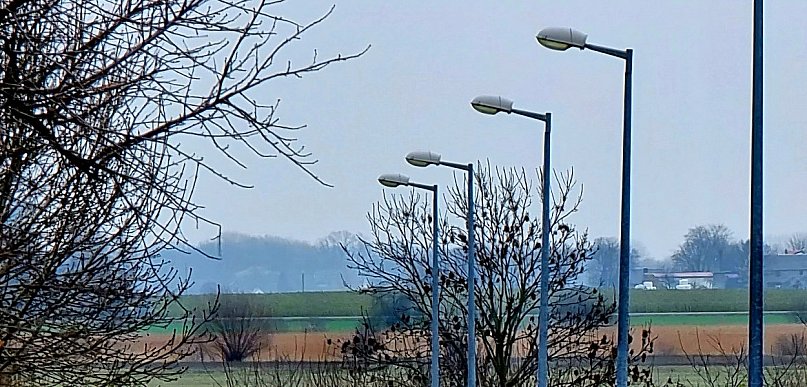 Nowe lampy na tej ulicy. Miasto ogłosiło przetarg