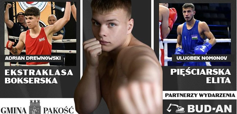 W Pakości będzie bokserska gala. I to za darmo!