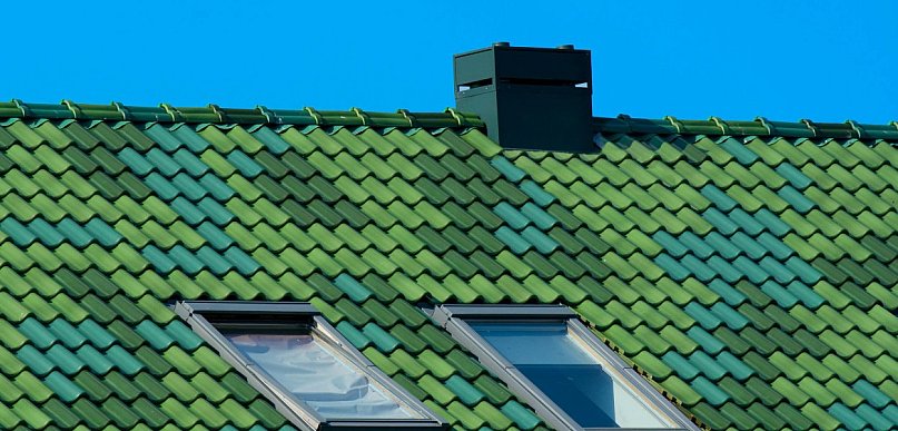 Co naprawdę niszczą kuny w dachu i dlaczego skutki widać dopiero po czasie?