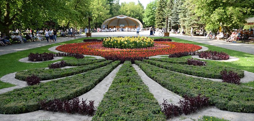 Miasto szykuje morze kwiatów. Wiadomo, co pojawi się na rabatach