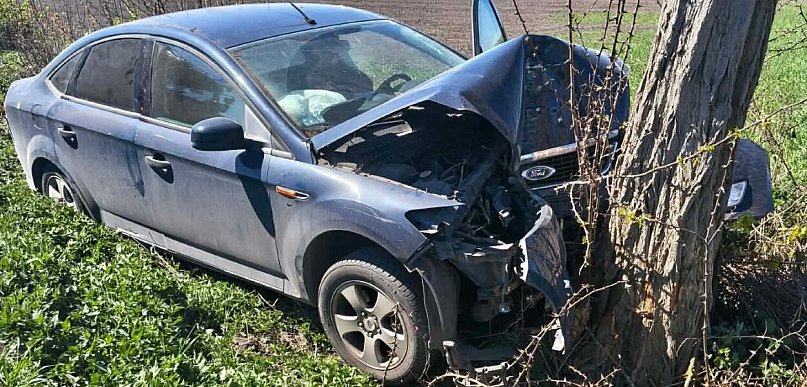 Osobówka skończyła jazdę na drzewie