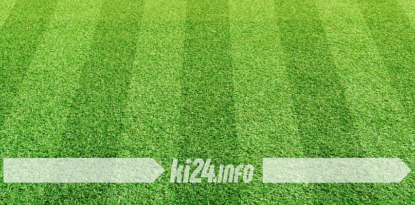 KO: Milion złotych nie dla Inowrocławia. Miasto nie złożyło wniosku - 52347