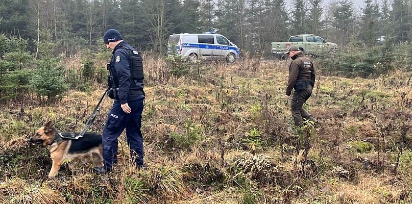 Kradną choinki? Służby ruszyły w teren z kontrolami w lasach - 55266