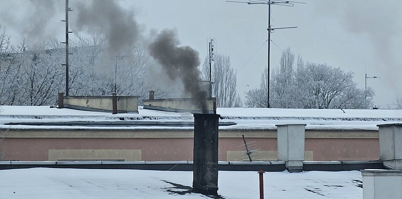 Sezon grzewczy trwa. Sprawdź, czego nie wolno palić w piecu - 56119
