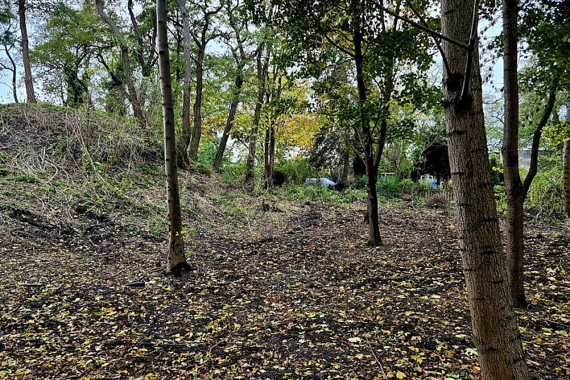 Teren podzamcza przy Mysiej Wieży