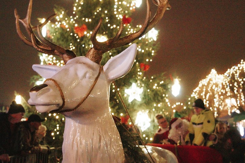 GNIEWKOWO - Jarmark Bożonarodzeniowy