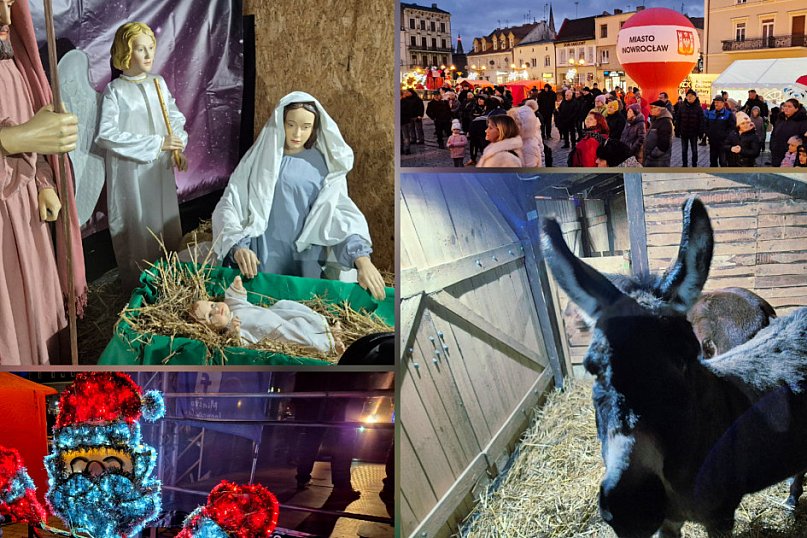 Szopka na rynku