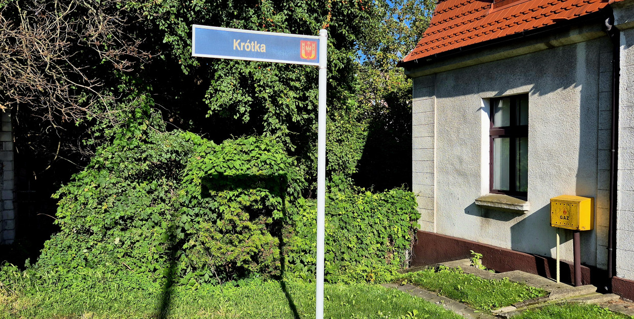 rolKI24.INFO | Tajemnicze schody. Dokąd prowadzą?