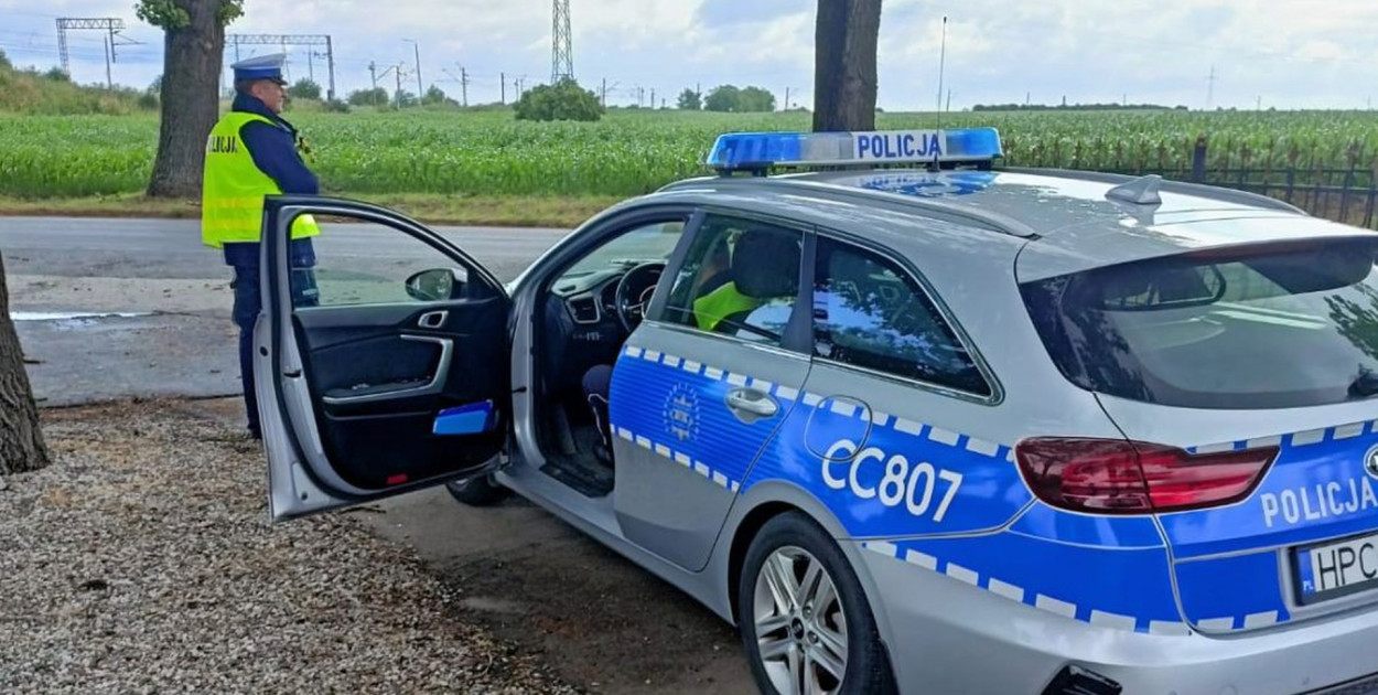 zdjęcie ilustracyjne