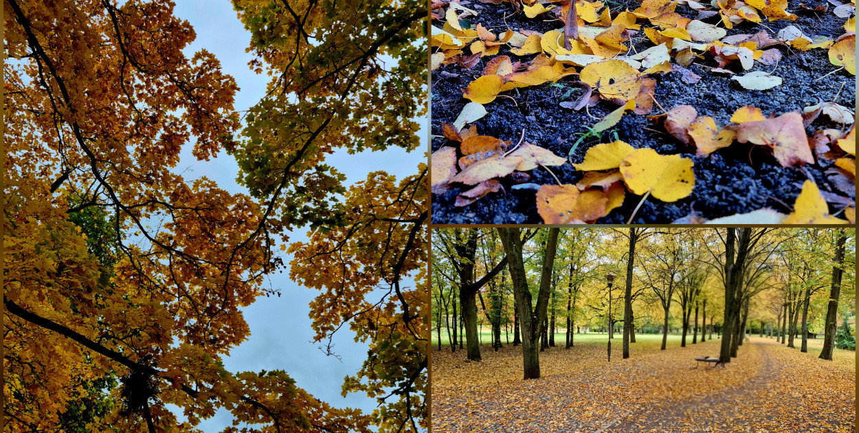 rolKI24.INFO | 🍂 W Solankach już prawdziwa jesień! 🍁