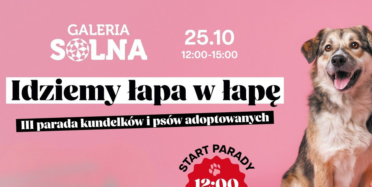 Kundelki pomaszerują łapa w łapę